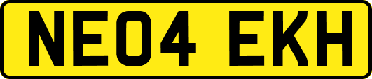 NE04EKH