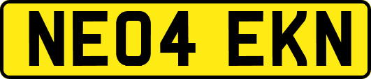 NE04EKN