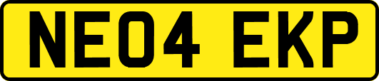 NE04EKP