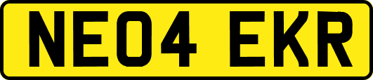 NE04EKR