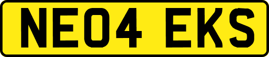 NE04EKS