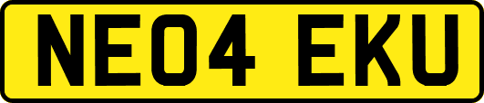 NE04EKU