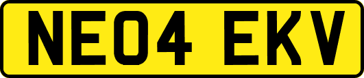 NE04EKV