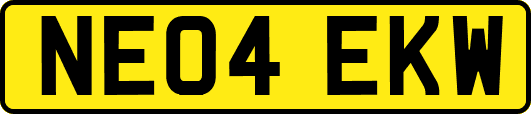 NE04EKW