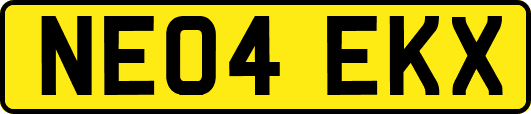 NE04EKX