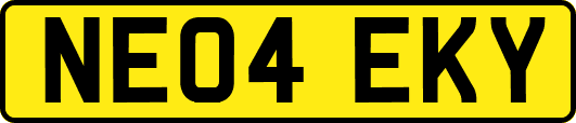 NE04EKY