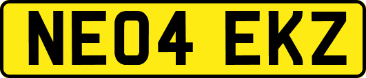 NE04EKZ