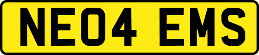 NE04EMS