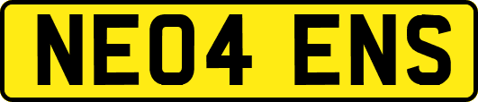 NE04ENS