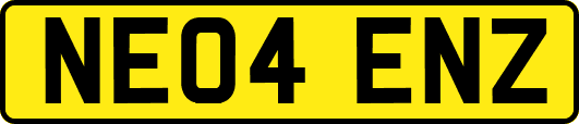 NE04ENZ