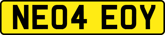 NE04EOY