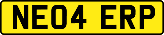 NE04ERP
