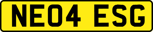 NE04ESG