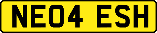NE04ESH