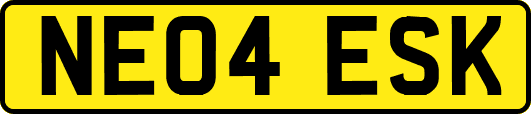 NE04ESK
