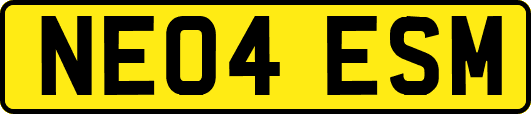 NE04ESM