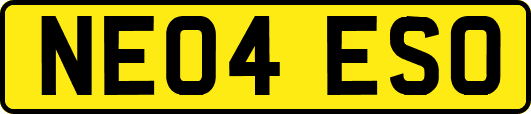 NE04ESO