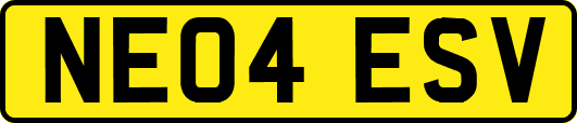 NE04ESV