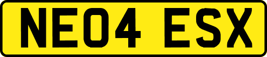 NE04ESX