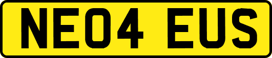 NE04EUS