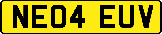 NE04EUV