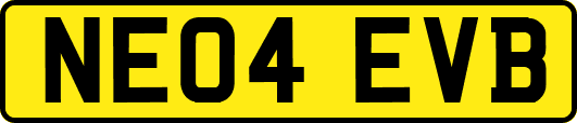NE04EVB