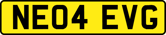 NE04EVG