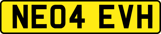 NE04EVH