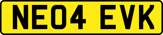 NE04EVK