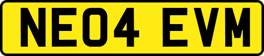 NE04EVM