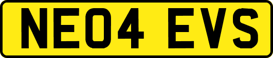 NE04EVS