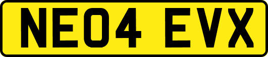 NE04EVX