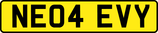 NE04EVY