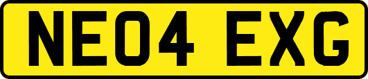 NE04EXG