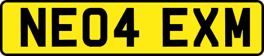 NE04EXM