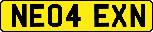 NE04EXN