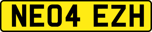 NE04EZH