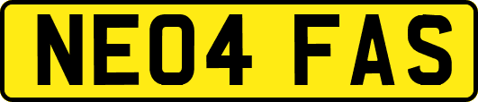 NE04FAS