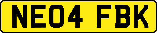NE04FBK
