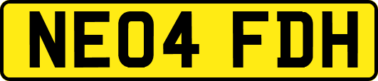 NE04FDH