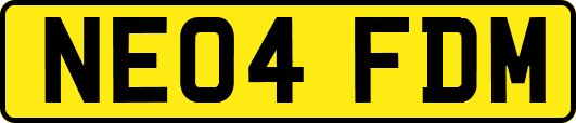 NE04FDM