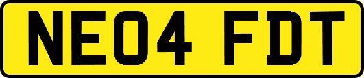 NE04FDT