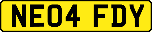 NE04FDY