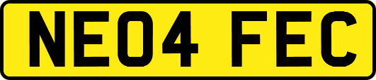 NE04FEC