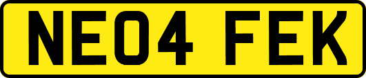 NE04FEK
