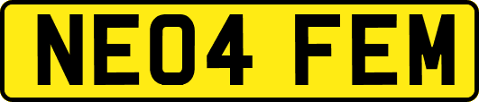 NE04FEM