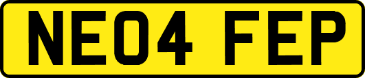 NE04FEP
