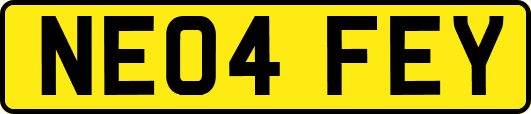 NE04FEY