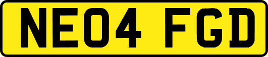 NE04FGD