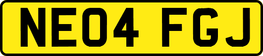 NE04FGJ